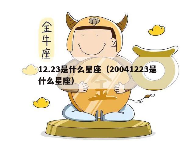 12.23是什么星座（20041223是什么星座）