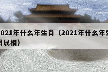 2021年什么年生肖（2021年什么年生肖属相）