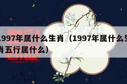 1997年属什么生肖（1997年属什么生肖五行属什么）