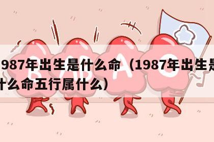 1987年出生是什么命（1987年出生是什么命五行属什么）