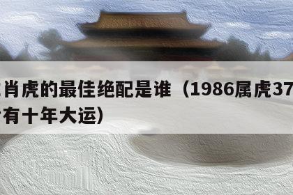 生肖虎的最佳绝配是谁（1986属虎37岁后有十年大运）